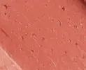 شوفير
