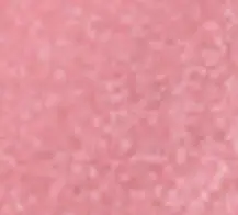 02 فوسي