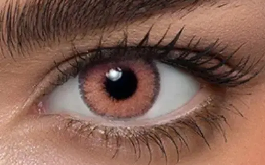 Russet