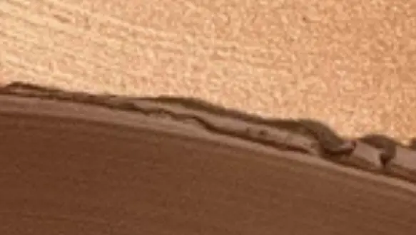 ميديوم تان